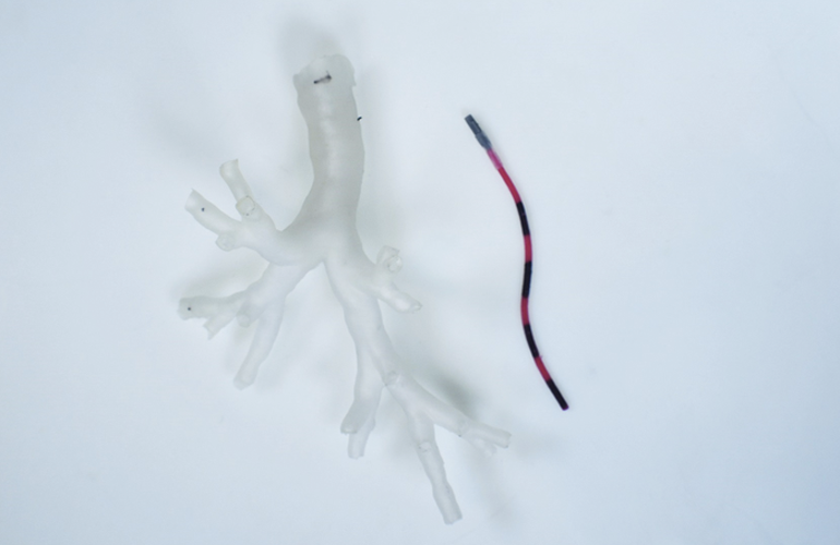 ساخت "ربات شاخک مغناطیسی" راهی نوین برای درمان ریه